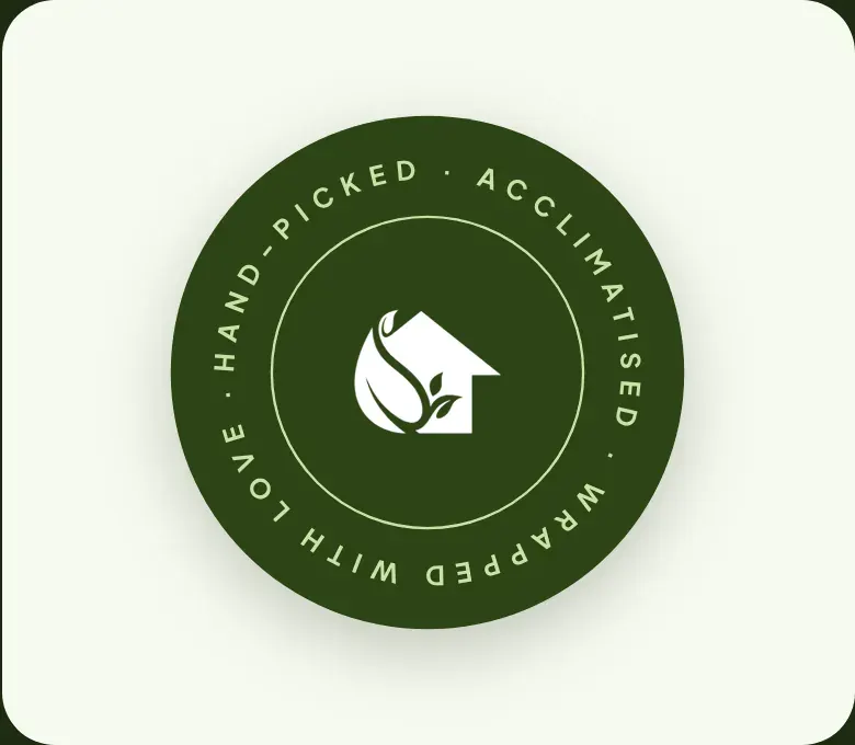 Packaging sticker